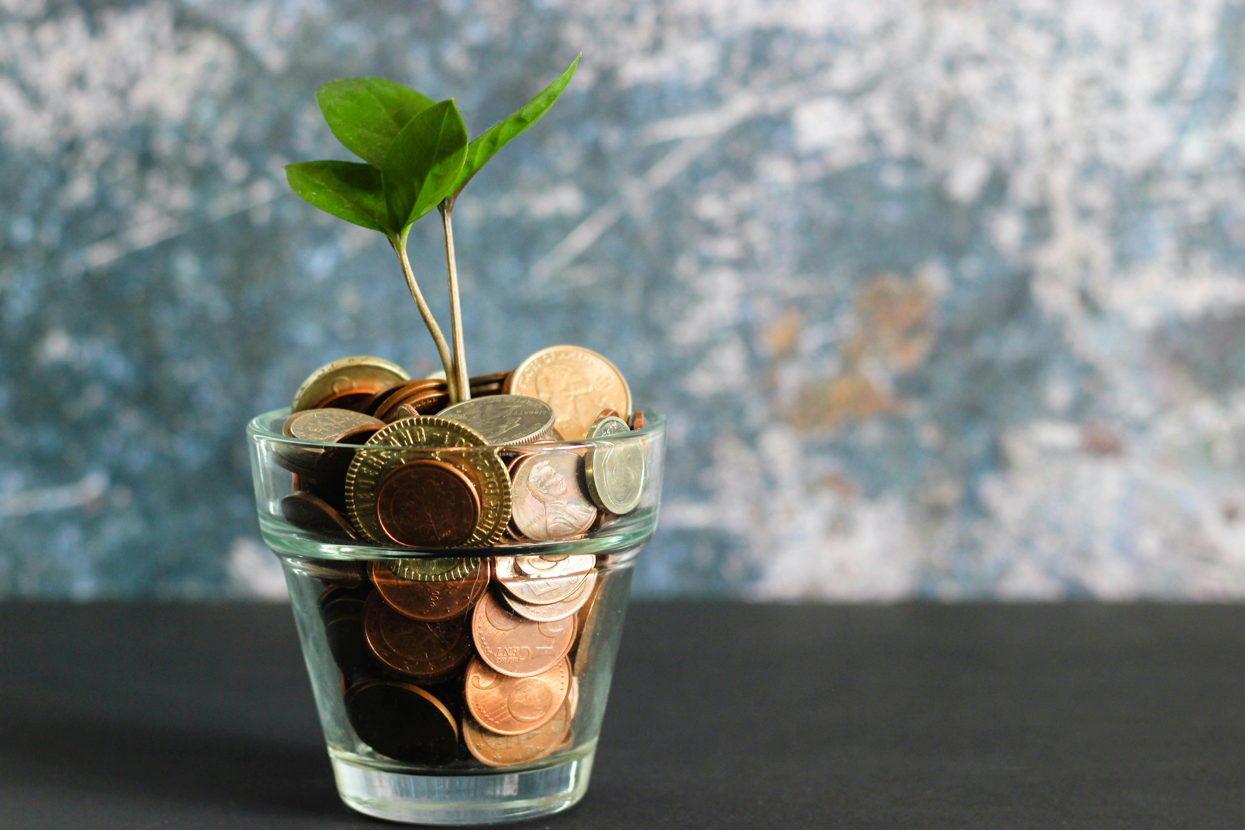 Entrepreneurship &amp; Side Hustle Playbook